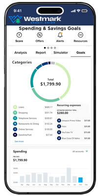 Woman reviewing spending report on laptop